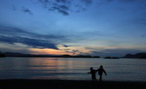 会社設立の法人番号はいつ公表されるのか？